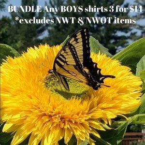 BUNDLE any BOYS shirts 3 for $14 *excludes NWT and NWOT* 👕